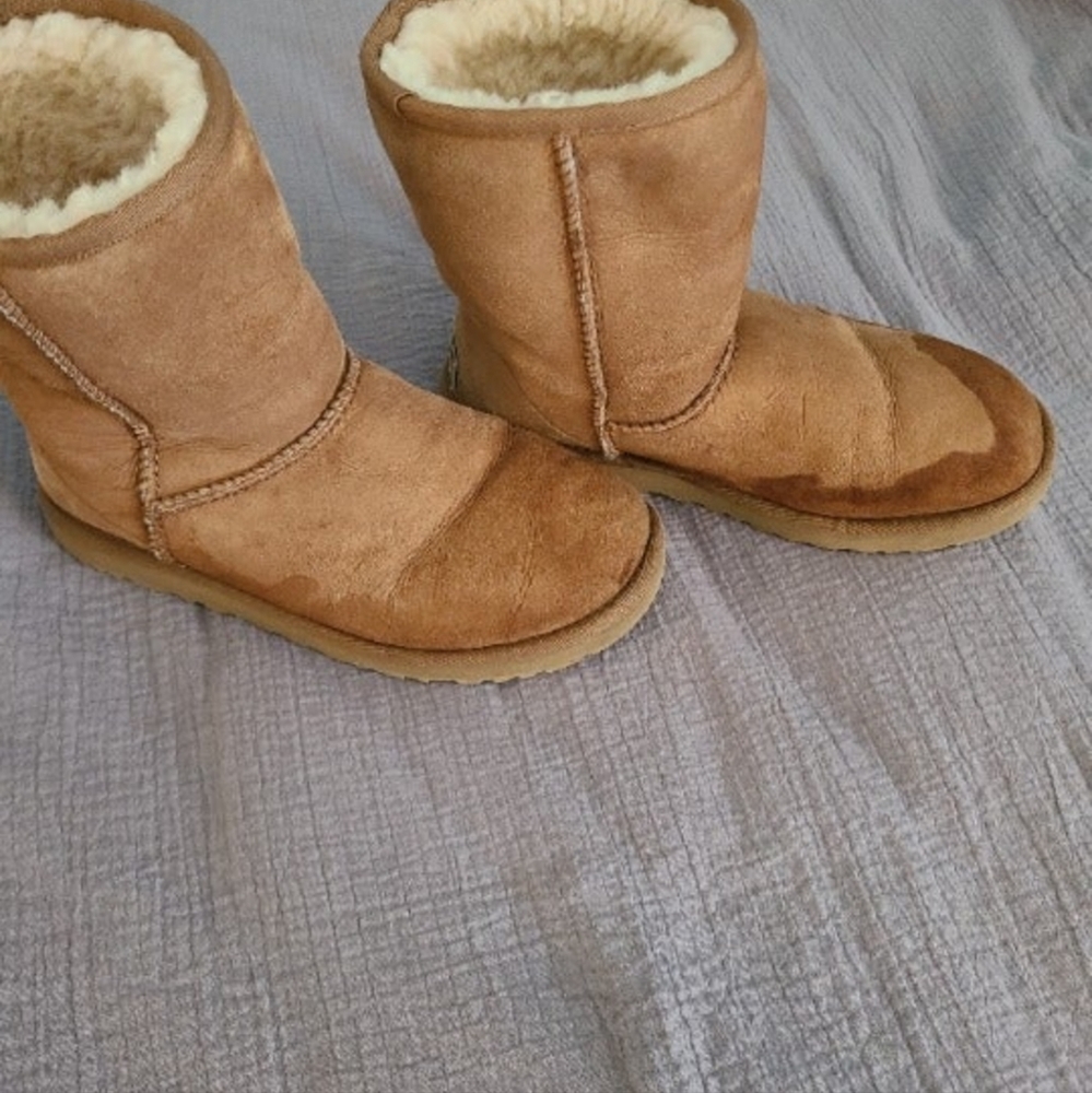 Uggs - image 5
